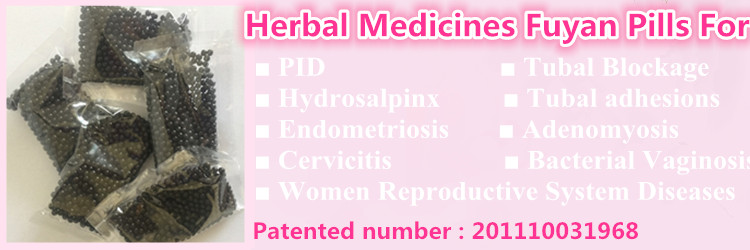 TCM Herbal Medicine Fuyan Pill