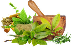 natural medicine
