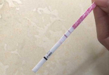 vulation test paper